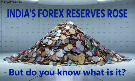 Forex Reserves: Why Does India Have a Big Stash of Foreign Currency?