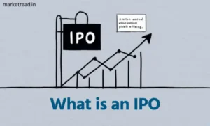 What is an IPO